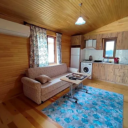 Hurmalik Sweet Homes - Family - Large Garden With Barbecue 4* Kumluca
